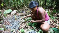 Una mujer en cuclillas recoge los frutos de un árbol