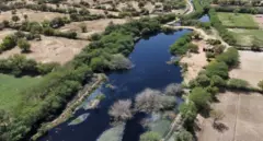 जोजरी नदी