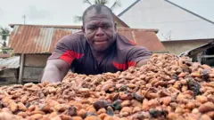 Un producteur de cacao trie des fèves de cacao séchées.