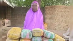 Afurasi naa wọ ijaabu lẹyin ti ọwọ tẹ ẹ tan pẹlu igbo