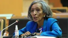 አምባሳደር ቆንጂት