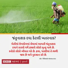 pesticide 