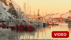 காணொளி: கிரீன்லாந்து, நேட்டோ குறித்து டிரம்ப் சொன்னவை உண்மையா?