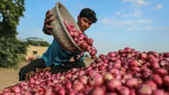 कांदा उत्पादक शेतकरी