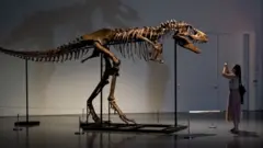 dinozor