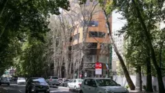 خشکاندن عمدی و قطع درختان خیابان ولیعصر