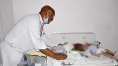 Doktora daa'imman mataan walqabtee dhalte wallaanaa jiru