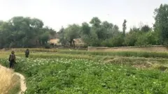 BBC ilitembelea mkoa wa Andarab chini ya uangalizi wa walinzi wa Taliban.