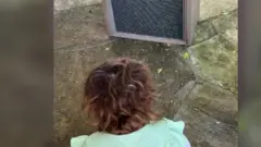 Una niña de espaldas mira insectos.