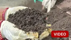 சூரத் முனிசிபல் கார்ப்பரேஷனின் மண்புழு உரம் தயாரிக்கும் திட்டம் 