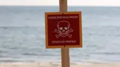 міни, чорне море, гетті, фото 