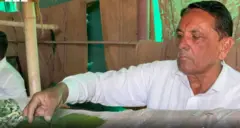 બીબીસી ગુજરાતી, ગુજરાત, બીબીસી, અમદાવાદ, રેશમના કીડા, બનાસકાંઠા, દાંતીવાડા કૃષિ યુનિવર્સિટી બનાસકાંઠા : એરંડાનાં પાનમાંથી રેશમ બનાવવામાં સફળતા મળી ખેડૂત ગુજરાત બીબીસી ગુજરાતી ન્યૂઝ સમાચાર ગુજરાત સમાચાર ખેતી ખાતર પાણી ચોમાસું કાપડ કપડાં રેશમી કાપડ રેશમના કીડા