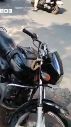 பாம்பு 