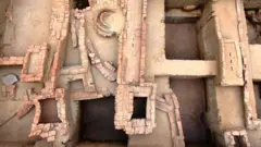 கீழடி, தமிழ்நாடு தொல்லியல் துறை, வரலாறு 