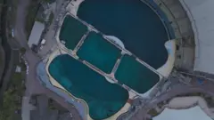 Foto aérea do Marineland mostra cinco piscinas com diferentes tons de azul e verde e uma área para o público, parecida com um anfiteatro