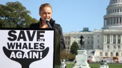 Hayden Panettiere discursa em uma coletiva de imprensa da campanha "Salve as Baleias Novamente" em 26 de outubro de 2008 em Washington, D.C.