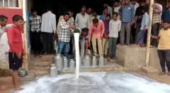 અરવલ્લી, સાબરકાંઠા, સાબર ડેરી, પશુપાલકો, દૂધઉત્પાદકો, વિરોધપ્રદર્શન, ખેડૂતો, ગુજરાત, બીબીસી ગુજરાતી