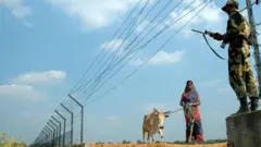 বিএসএফকে পারমিট দেখিয়ে বেড়া পেরোতে যাচ্ছেন একজন গ্রামবাসী
