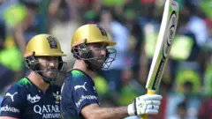 cricket