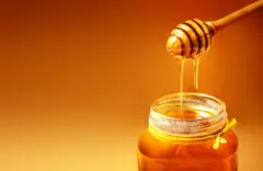मध इतकी वर्षं का टिकतो? मधाचं मधूर रहस्य honey