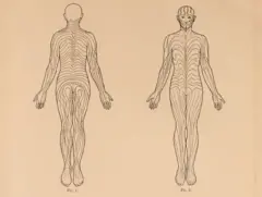 344343