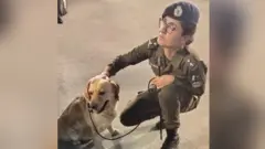سنیفر ڈاگ