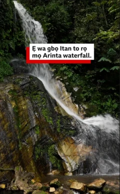 Arinta ni ipinle Ekiti