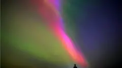 أضواء الشمال.