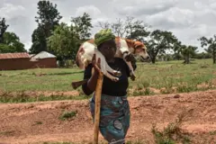 Une femme porte son chien sur l'épaule alors qu'elle marche dans la banlieue de Mangu, près de Jos, dans l'État du Plateau au Nigeria, le 20 mai 2023. 