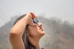 வெப்பம், முதுமை, டிஎன்ஏ, தோல் சுருக்கம், இதய நோய்