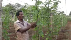 'ග්‍රාම නිලධාරී හමුවෙන්න කිලෝමීටර් 66ක් යන්න ඕනා'