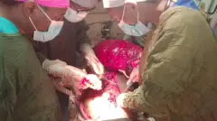 Gareen wallaansaa wayita yaalii irra turan