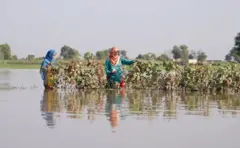 Floods In Punjab, Pakistan