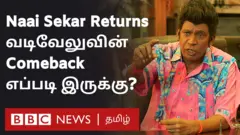நாய் சேகர் படம்