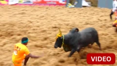 பாலமேடு ஜல்லிக்கட்டு: 15 காளைகளை அடக்கிய வீரருக்கு முதல் பரிசு