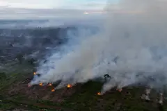 Kebakaran hutan dan lahan di Aceh