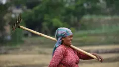 अर्थतन्त्र 