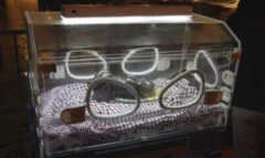 இஸ்ரேல்