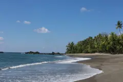 El verdor del bosque tropical se encuentra con el azul de océano Pacífico en la península de Osa