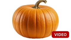 பூசணிக்காய்