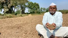 प्रातिनिधिक फोटो
