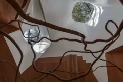 Interior de madera con ramas escultóricas y lucernarios que muestran el follaje exterior.