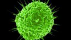 Representación gráfica de un virus gigante.