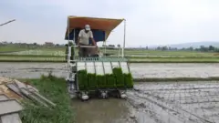 रोपाइँ