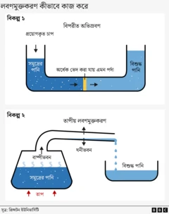 গ্রাফিক্সস