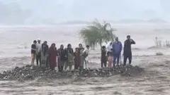 Fazal Subhan
