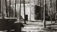 Ставка Гітлера Wehrwolf біля Вінниці - одне з найзагадковіших місць в Україні часів Другої світової війни