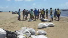 Prefeitura pagou diárias para que pessoas retirassem as pastas de óleo do Pontal do Peba, em Alagoas