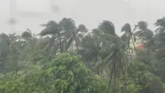 মোখা