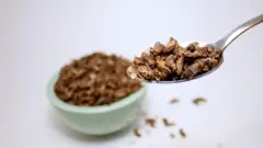 A plate full of insects, and spoon wey insects dey inside